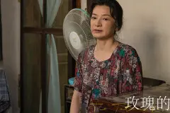 《玫瑰的故事》苏更生母亲来北京的目的是什么