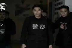 《罚罪》肖振邦为什么停职检查