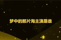 梦中的那片海主演是谁