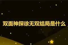 双面神探徐无双结局