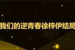 我们的逆青春徐梓伊最后结局