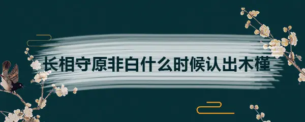 长相守原非白什么时候认出花木槿