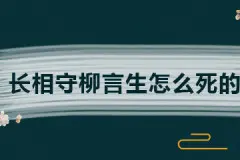 长相守柳言生怎么死的